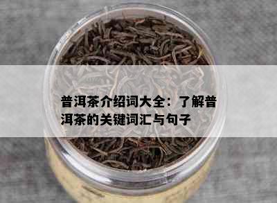 普洱茶介绍词大全：了解普洱茶的关键词汇与句子