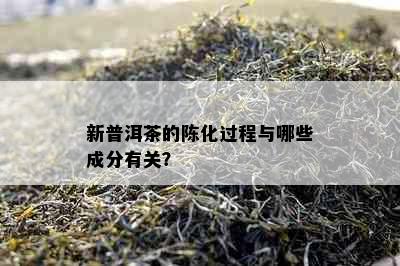 新普洱茶的陈化过程与哪些成分有关？