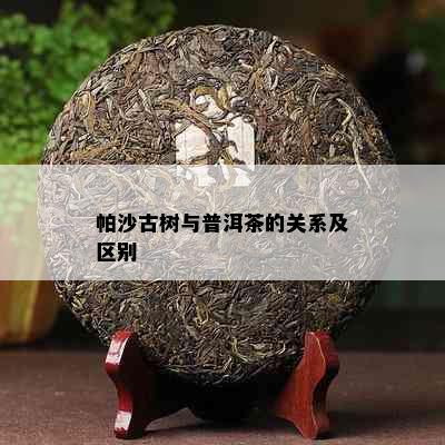 帕沙古树与普洱茶的关系及区别