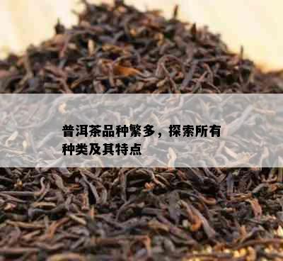 普洱茶品种繁多，探索所有种类及其特点