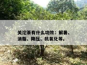 关沱茶有什么功效：解暑、消脂、降压、抗氧化等。