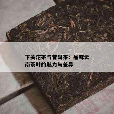 下关沱茶与普洱茶：品味云南茶叶的魅力与差异