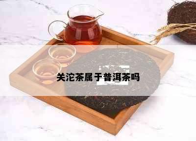 关沱茶属于普洱茶吗