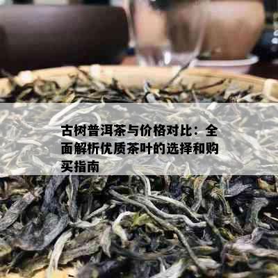 古树普洱茶与价格对比：全面解析优质茶叶的选择和购买指南