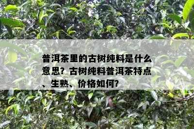 普洱茶里的古树纯料是什么意思？古树纯料普洱茶特点、生熟、价格如何？