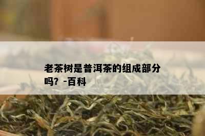 老茶树是普洱茶的组成部分吗？-百科