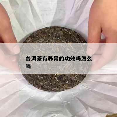 普洱茶有养胃的功效吗怎么喝