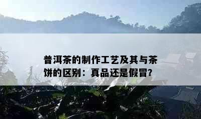 普洱茶的制作工艺及其与茶饼的区别：真品还是假冒？