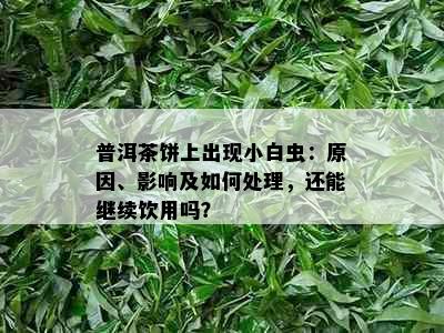 普洱茶饼上出现小白虫：原因、影响及如何处理，还能继续饮用吗？