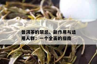 普洱茶的禁忌、副作用与适用人群：一个全面的指南