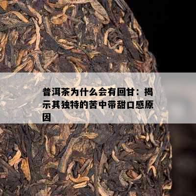 普洱茶为什么会有回甘：揭示其独特的苦中带甜口感原因