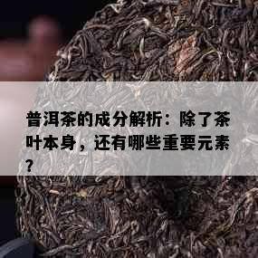 普洱茶的成分解析：除了茶叶本身，还有哪些重要元素？