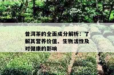 普洱茶的全面成分解析：了解其营养价值、生物活性及对健康的影响