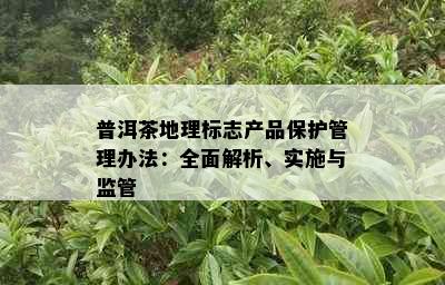 普洱茶地理标志产品保护管理办法：全面解析、实施与监管