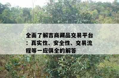 全面了解吉商藏品交易平台：真实性、安全性、交易流程等一应俱全的解答