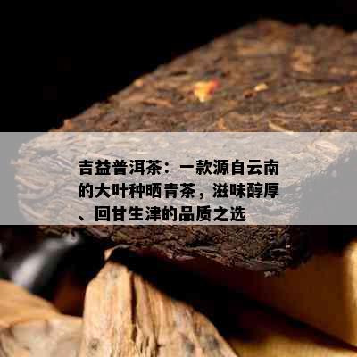 吉益普洱茶：一款源自云南的大叶种晒青茶，滋味醇厚、回甘生津的品质之选