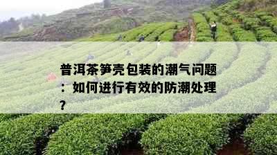 普洱茶笋壳包装的潮气问题：如何进行有效的防潮处理？