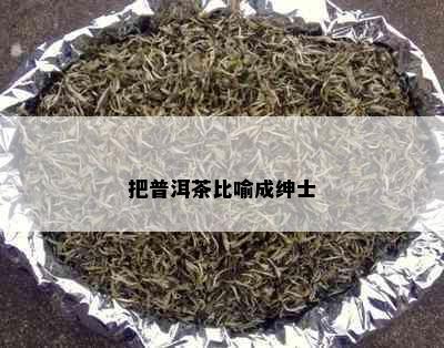 把普洱茶比喻成绅士