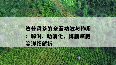 熟普洱茶的全面功效与作用：解渴、助消化、降脂减肥等详细解析