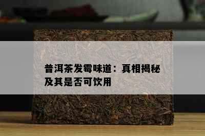 普洱茶发霉味道：真相揭秘及其是否可饮用