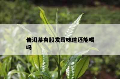 普洱茶有股发霉味道还能喝吗