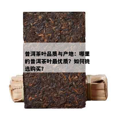 普洱茶叶品质与产地：哪里的普洱茶叶更优质？如何挑选购买？