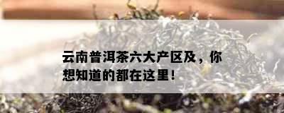 云南普洱茶六大产区及，你想知道的都在这里！