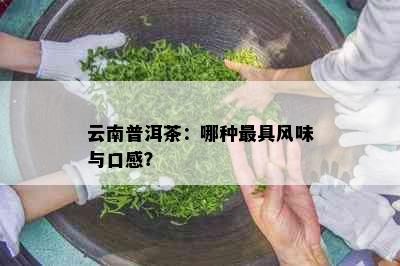 云南普洱茶：哪种更具风味与口感？