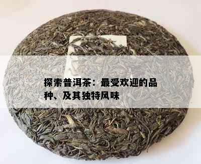 探索普洱茶：更受欢迎的品种、及其独特风味