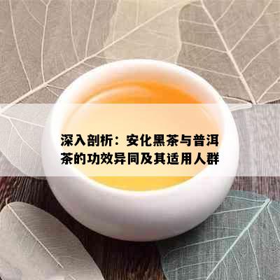 深入剖析：安化黑茶与普洱茶的功效异同及其适用人群