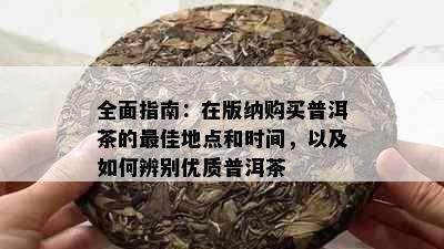 全面指南：在版纳购买普洱茶的更佳地点和时间，以及如何辨别优质普洱茶