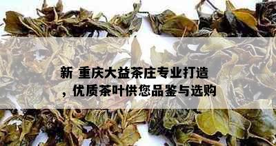 新 重庆大益茶庄专业打造，优质茶叶供您品鉴与选购