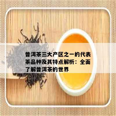 普洱茶三大产区之一的代表茶品种及其特点解析：全面了解普洱茶的世界