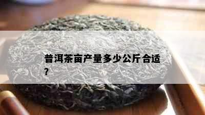 普洱茶亩产量多少公斤合适？