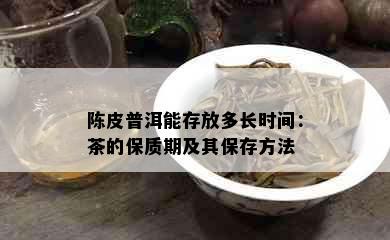 陈皮普洱能存放多长时间：茶的保质期及其保存方法