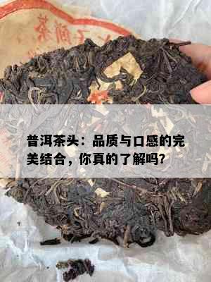 普洱茶头：品质与口感的完美结合，你真的了解吗？