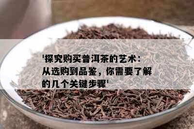 '探究购买普洱茶的艺术：从选购到品鉴，你需要了解的几个关键步骤'