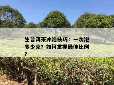 生普洱茶冲泡技巧：一次泡多少克？如何掌握更佳比例？