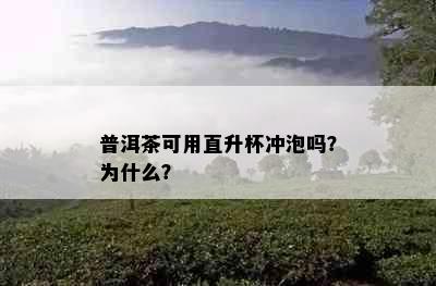 普洱茶可用直升杯冲泡吗？为什么？