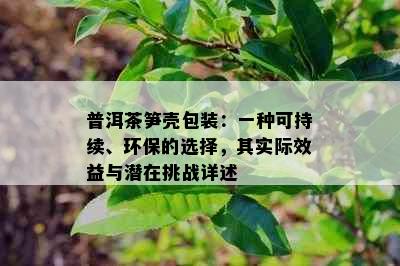 普洱茶笋壳包装：一种可持续、环保的选择，其实际效益与潜在挑战详述