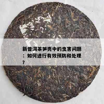 新普洱茶笋壳中的虫害问题：如何进行有效预防和处理？