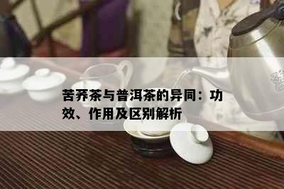 苦荞茶与普洱茶的异同：功效、作用及区别解析