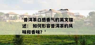 '普洱茶口感香气的英文描述： 如何形容普洱茶的风味和香味？'