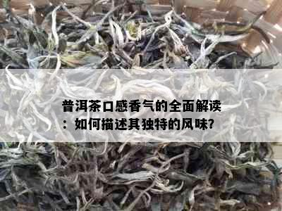 普洱茶口感香气的全面解读：如何描述其独特的风味？