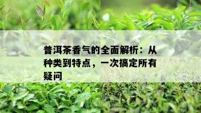 普洱茶香气的全面解析：从种类到特点，一次搞定所有疑问