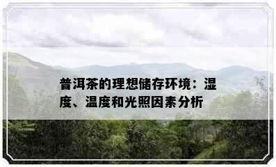 普洱茶的理想储存环境：湿度、温度和光照因素分析