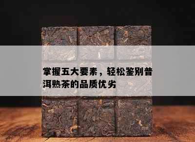 掌握五大要素，轻松鉴别普洱熟茶的品质优劣