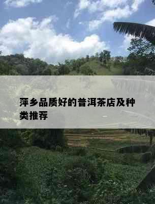 萍乡品质好的普洱茶店及种类推荐