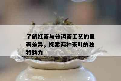 了解红茶与普洱茶工艺的显著差异，探索两种茶叶的独特魅力