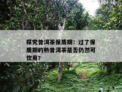 探究普洱茶保质期：过了保质期的熟普洱茶是否仍然可饮用？